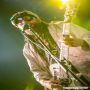 20160729_19-48-54_IMG_3347